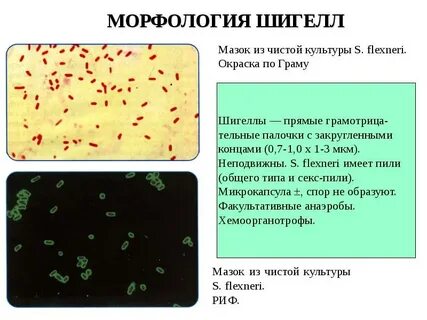 Рецепты возбудителя