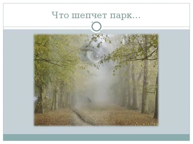 Парк шепчет вскоре я не буду. Старинный парк. Что шепчет парк северянин. Парк березы ярославль. Стихотворение про парк.