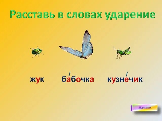 Бабочка составить слова. Бабочка ударение. Ударение в слове бабочка. Жук ударение. Схема слова Жук.