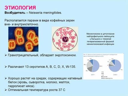 Этиология возбудителей