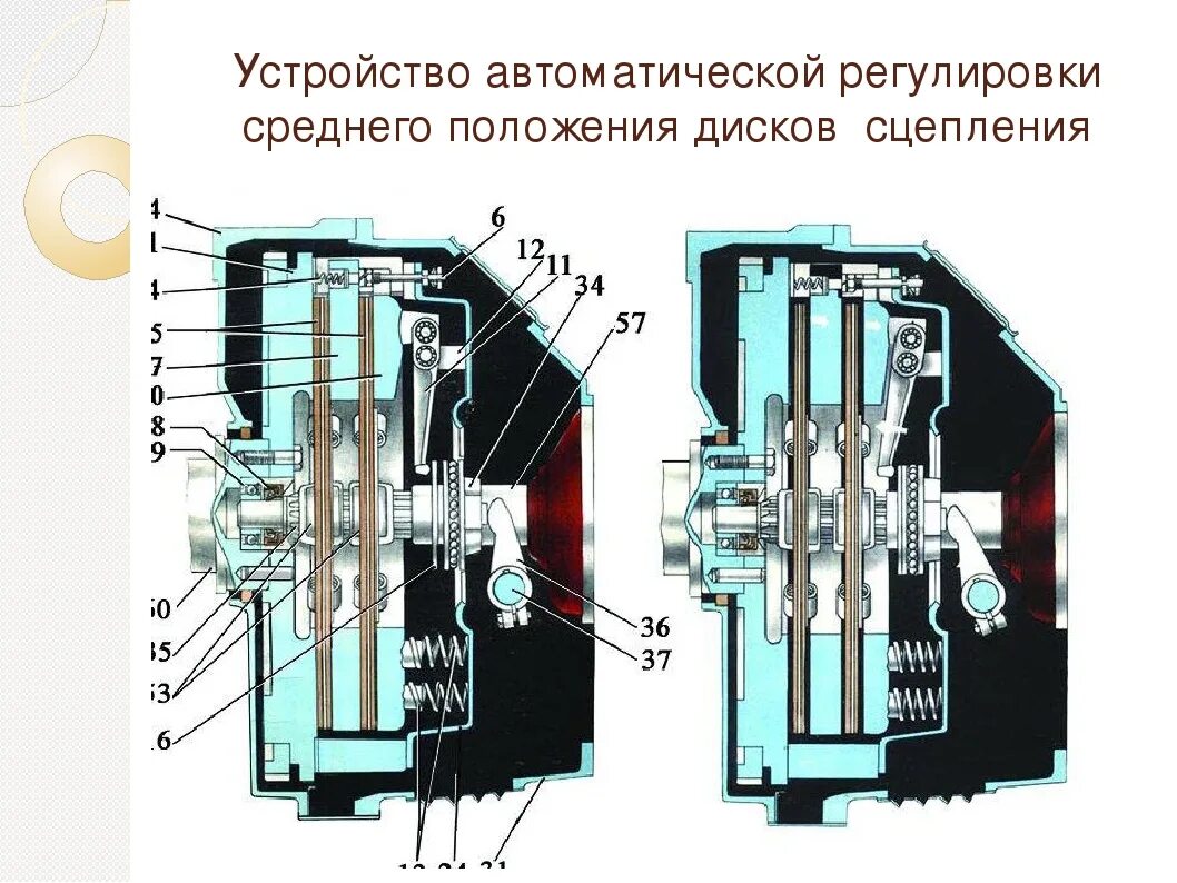 Сцепления автомобиля урал. Сцепление МАЗ ЯМЗ 236. Сцепление на МАЗ ЯМЗ 238. МАЗ ЯМЗ 238 сцепление двухдисковое. Однодисковое сцепление МАЗ ЯМЗ-238.