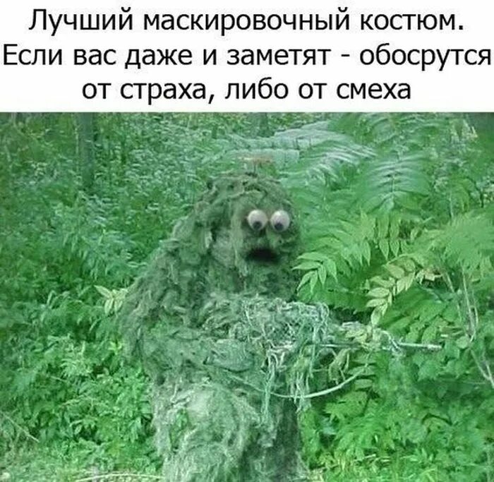 Какого лешего я полюбила сумасшедшего