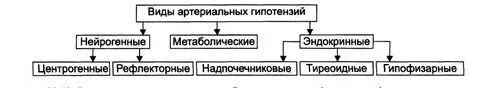 Артериальная гипотензия виды