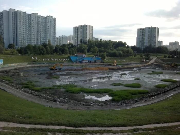 Малый Чертановский пруд. Чертановский пруд в Чертаново Северное. Ясенево пруды. Парк Мосфильмовский пруд. Ясенево вода