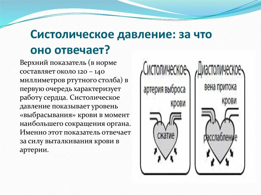 Что показывает давление. Систолическое и диастолическое артериальное давление. Систолическое явление. Систолическоетдавление. Артериальное давление систола и диастола.