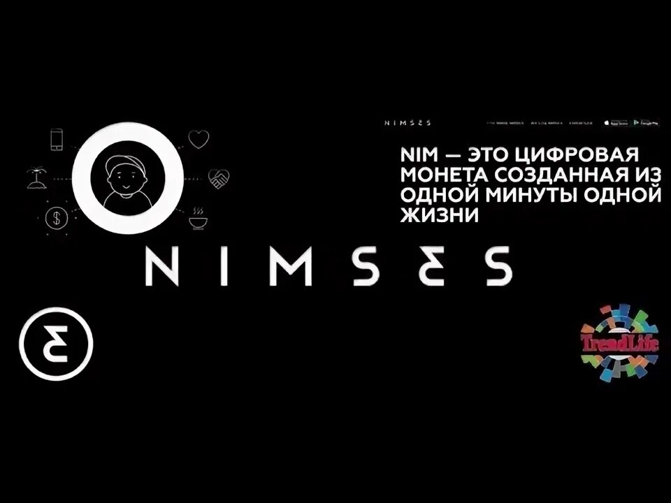 Нимсес. Nimses 2022. Нимы. Нимсес. Nimses 2022.