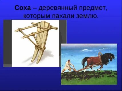 Год соха картинки