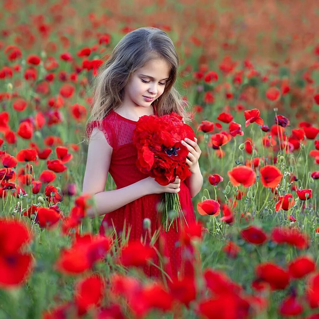 Девушка среди цветов. Дети с цветами. Девочка маковое поле. Девочка в маковом поле. Фотосессия в маковом поле.
