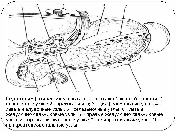 Воспаление лимфоузлов в брюшной полости причины