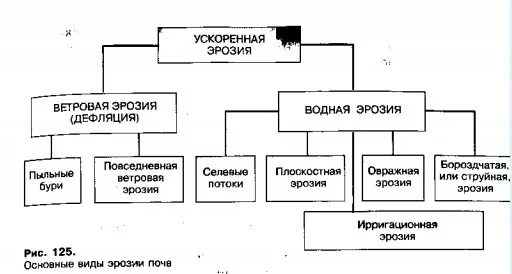 Эрозия виды причины. Эрозия почвы схема. виды эрозии таблица. виды почвенной эрозии схема. схема виды эрозии почв.