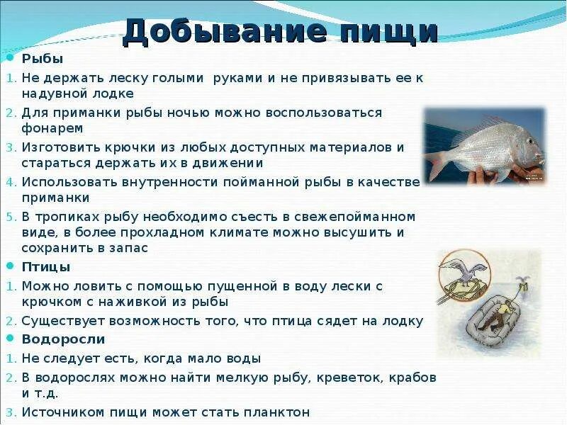 Тип добывания пищи. Добывание пищи. добывание пищи у рыб. питание рыб. способы добывания пищи животными сообщение.