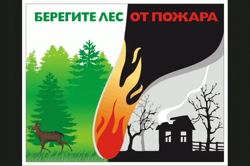 Берегите лес детям. Берегите лес детям