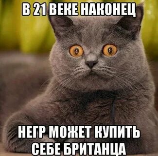 Что они уже