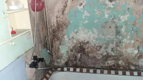 ПЛЕСЕНЬ ПОД ВАННОЙ photos