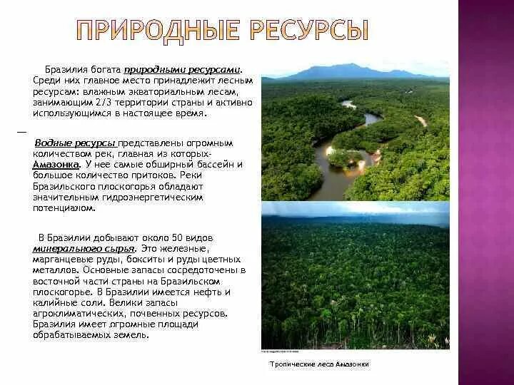 Природные ресурсы Бразилии 7 класс. Характеристика природных ресурсов Бразилии. Ресурсы Бразилии кратко. Природные ресурсы Бразилии кратко. Природные особенности бразилии кратко