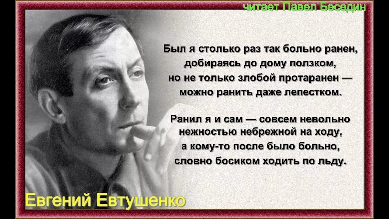 Евтушенко стихи. Стихотворение Евтушенко.