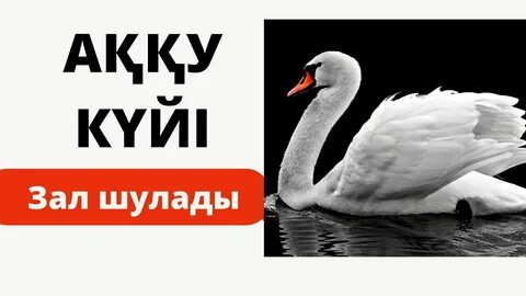 Толық порно тексеру