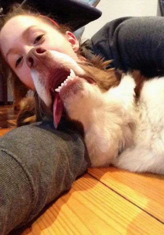 Удачные кадры животных и людей. Забавный кот. Фото приколы ржачные до слез. Собака за столом. Необычный юмор в картинках.