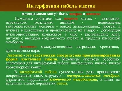Причины гибели клетки