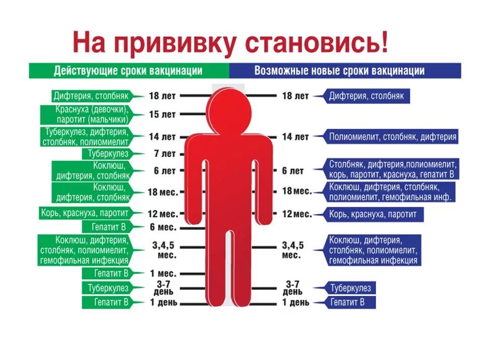 График прививки от дифтерии. Национальный календарь прививок от полиомиелита. Памятка по вакцинации детей. Дифтерия столбняк график прививок. Прививки памятка для родителей.