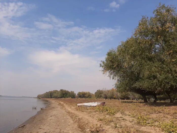 Володаровка астраханская область. Астраханская область на карте. Село марфино астрахань. Село сорочье астраханская область. Село цветное астраханская область.