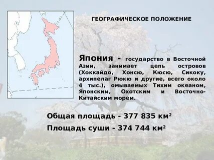 Позиция японии