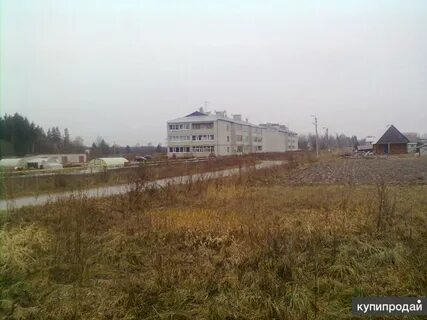 Погода село никольское вологодская область