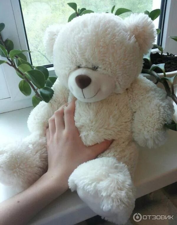 гигантская мягкая игрушка. медведь плюшевый дома. огромные мягкие игрушки. медведь плюшевый дома. плюшевый медведь.