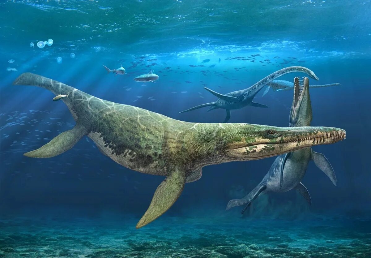 Вымершее морское пресмыкающееся с рыбообразным телом. Динозавры морские Плезиозавр. Мозазавр Эласмозавр. Плиозавры и мозазавры. Кронозавр и Тилозавр.