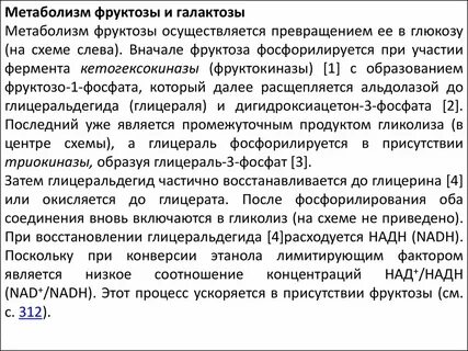 Фруктоза в печени превращается