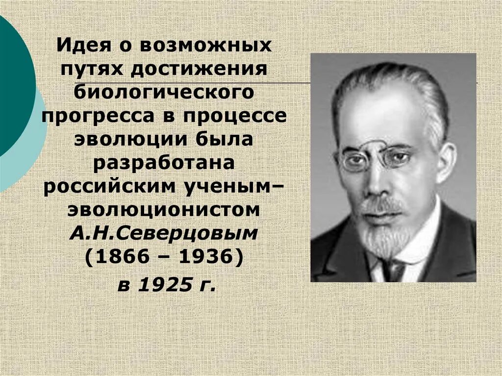 Северцов биологический прогресс. Ученый а.н. Северцов. Северцов 1925. А. Н. Северцова (1866—1937). А. Северцов. Главные направления эволюционного процесса.