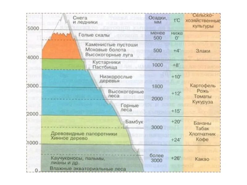В каких горах больше природных зон. Высотная поясность таблица природные зоны. Высотная поясность в Андах. Высотная поясность это в географии 7 класс. Высотная поясность гор России таблица.
