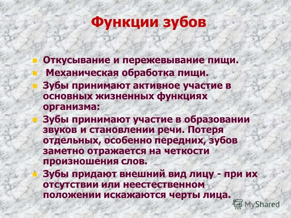 Гигиена ротовой полости. Афоризмы про зубы и улыбку. Зубы человека функции. Какую работу выполняют в организме зубы. Семерка нижняя строение зуба.