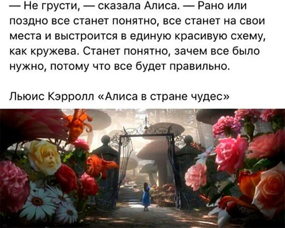 Алиса голосовой помощник новая версия. Алиса в стране чудес цитаты. Приложение алиса. Цитаты из алисы в стране чудес. Алиса в стране чудес куда мне идти.