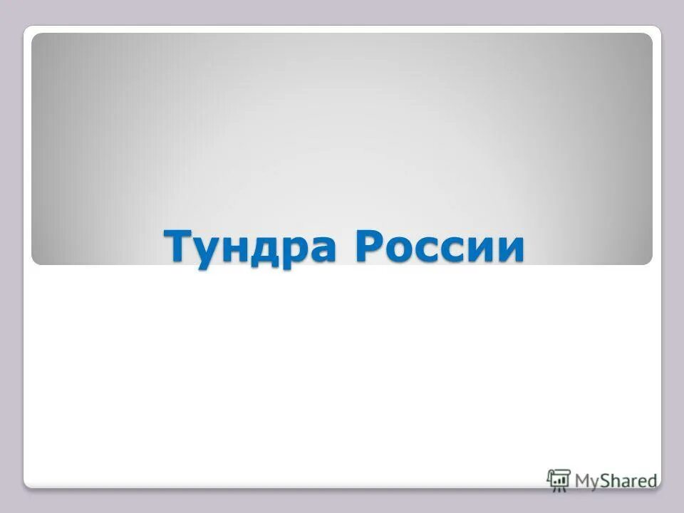 магазин тундры. магазин тундры. большеземельская тундра. кружка тундра. вольво тундра.