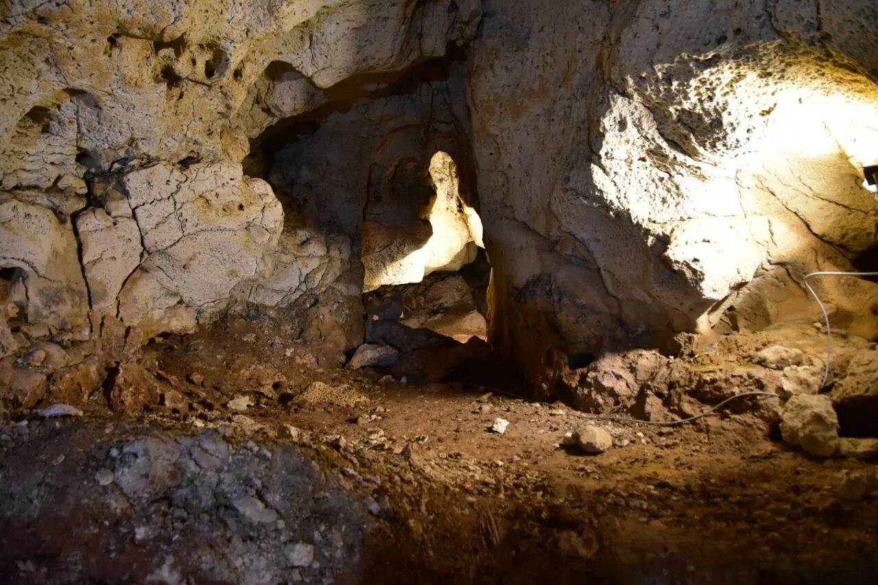 Белогорская пещера таврида. Пещера Таврида в Крыму. Пещера Таврида экскурсии. Зуя пещера Таврида. Таврида пещера экскурсовод.