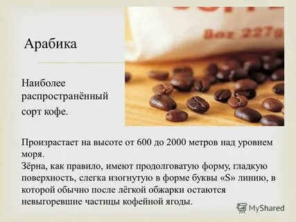 Сколько сортов арабики