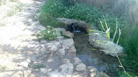Погода морское часов
