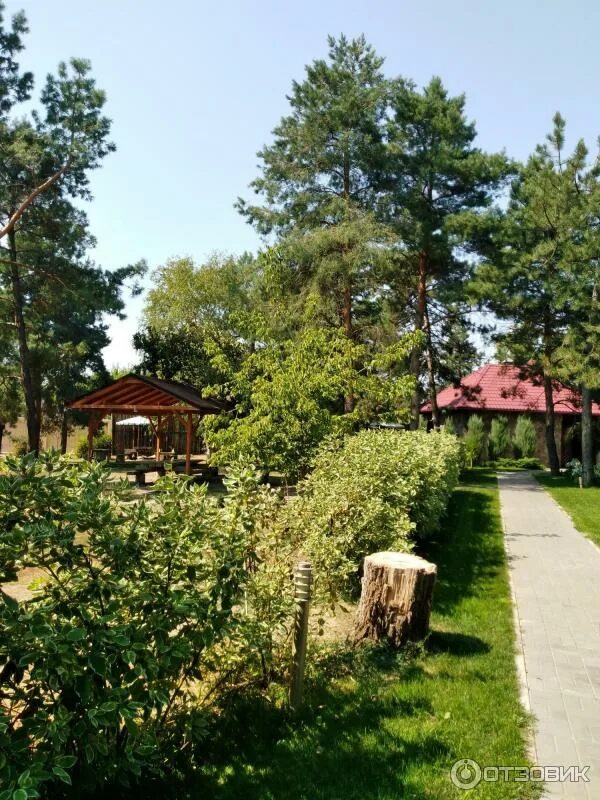 Айвенго отдых. База айвенго волгодонск. айвенго база отдыха волгодонск. базы отдыха айвенго волгодонск. айвенго волгодонск база отдыха пляж.
