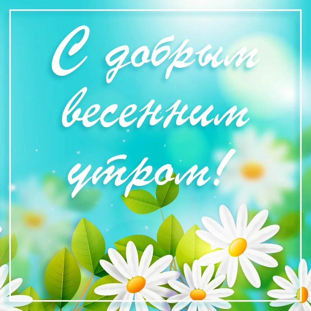 Открытки с ромашками доброе утро. Открытки с добрым утром весенние. С добрым весенним утречком. Открытки с добрым утром весенн.