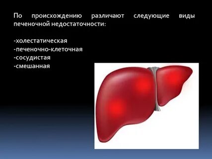 Виды печени