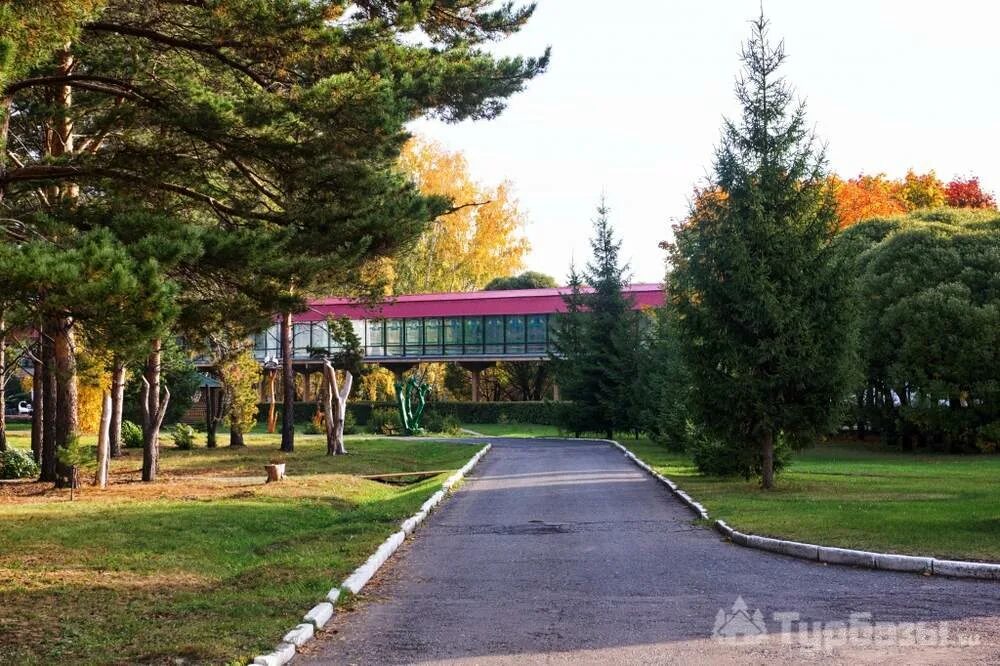 Санаторий Коммунальник Омск. Санаторий Коммунальник Коммунальник Омск. Коммунальник Омск территория. Коммунальник база отдыха