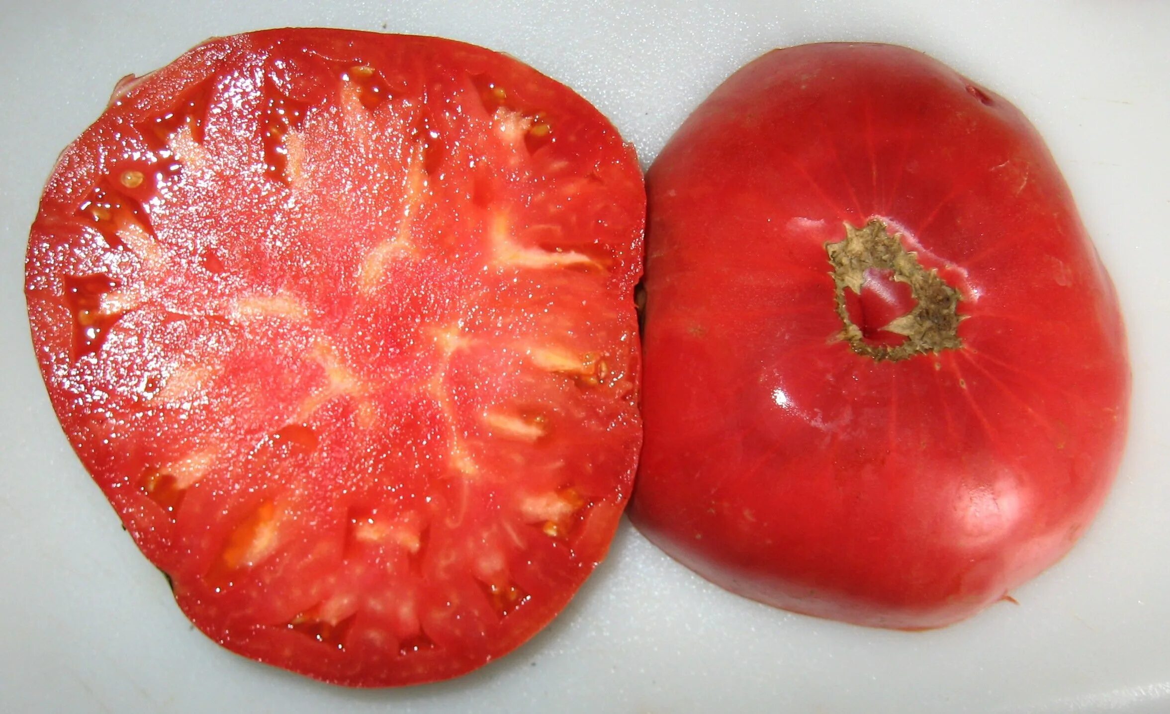 Семена помидор старые. Сорт томата 1884. Семена томата 1884. Томат Коломбо. Корсика томат.