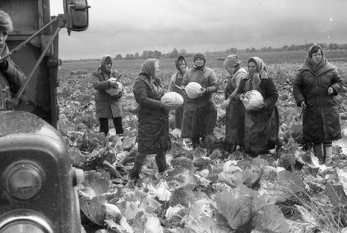 Белоруссия СССР. Белорусская СССР. Белоруссия в СССР фото. Первые фотографы Беларуси. Белоруссия в советское время