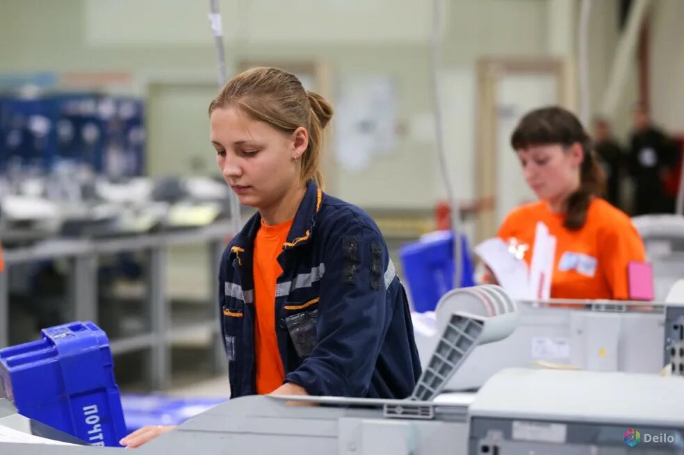 Оператор документов вакансии. Сортировщик. сортировщик почта россии. рабочая профессия сортировщик. оператор сортировщик почта россии.