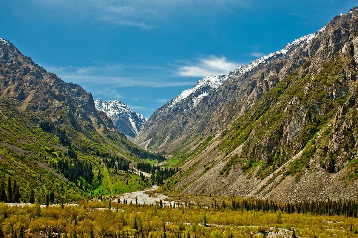 Парк ала арча