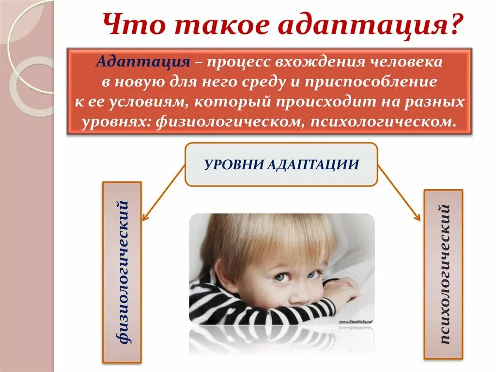 Адаптация по какой программе. Адаптация. адаптация в психологии картинки. адаптированность. адаптационные процессы.