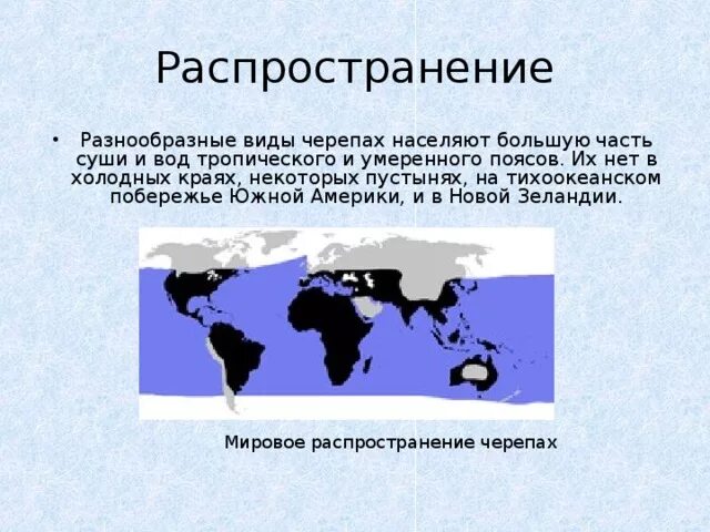 Черепахи ареал обитания