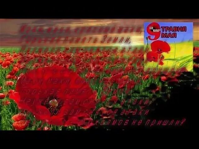Красные горькая память земли