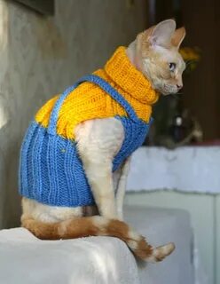 Как связать кофту коту